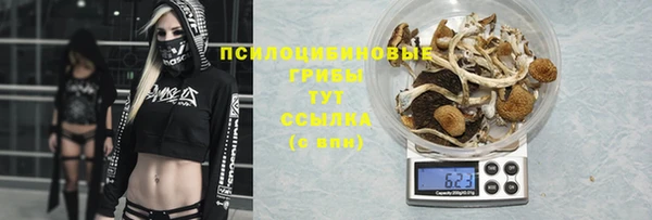 спиды Белоозёрский