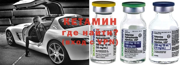 трава Белокуриха