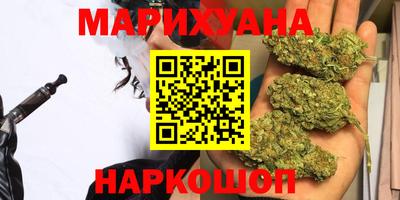 индика Долгопрудный