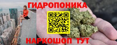 индика Долгопрудный