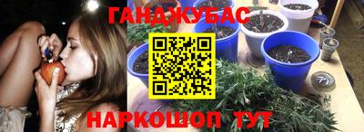 индика Долгопрудный