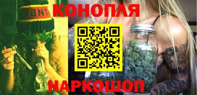 индика Долгопрудный