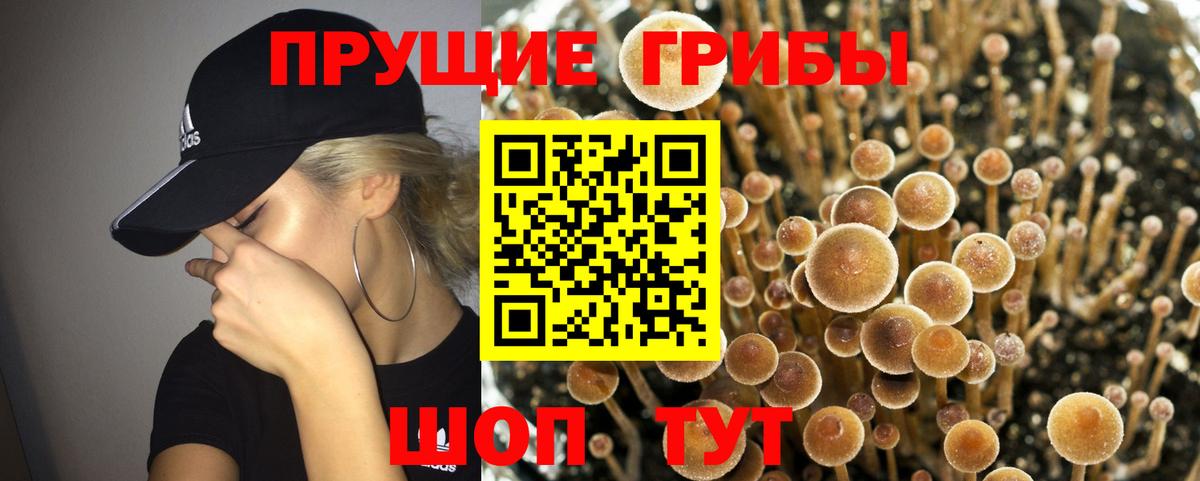 Галлюциногенные грибы Magic Shrooms Буйнакск
