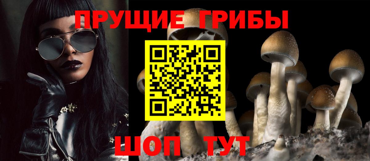 Галлюциногенные грибы GOLDEN TEACHER  как найти закладки  Буйнакск  Вход с VPN 