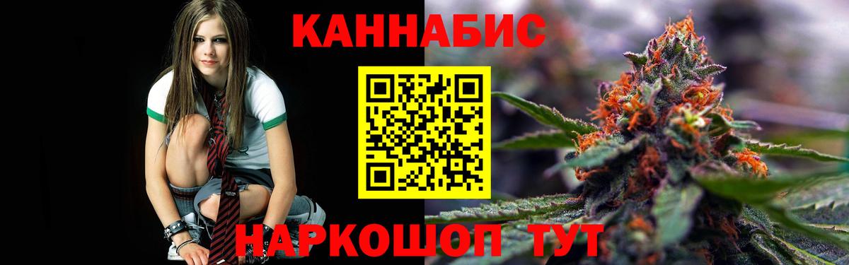 Шишки марихуана планчик  Вход с VPN  Бошки марихуана конопля  Буйнакск  Конопля Amnesia 